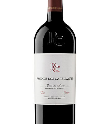 Vino Tinto Pago de los Capellanes